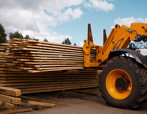 Лес сосна, ель в наличии